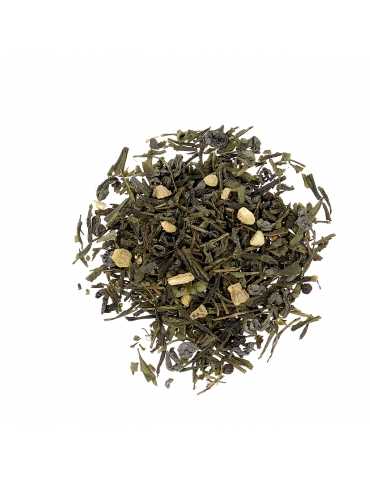 Gingembre Sencha