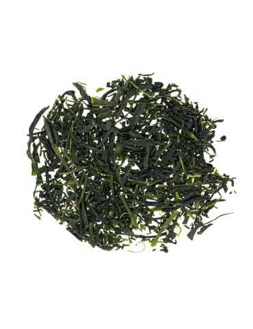 Sencha Yamakai