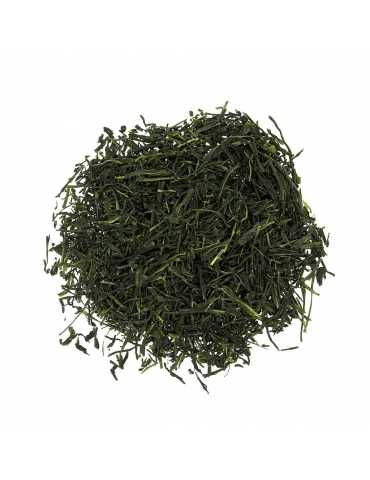 Sencha Bio