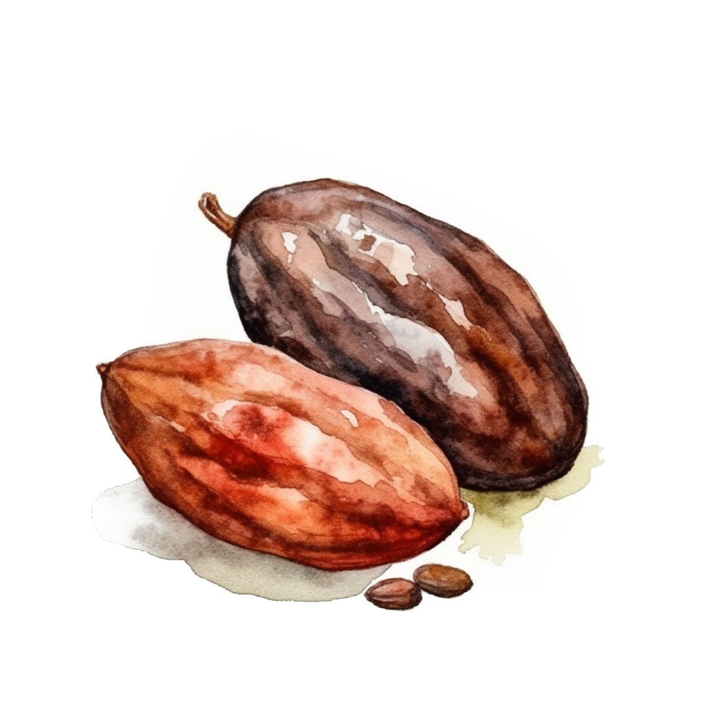 cacao